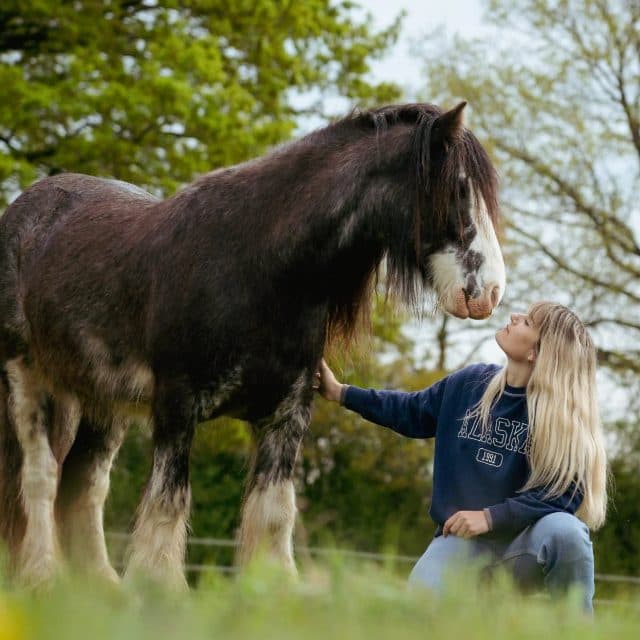 Une cavalière et son cheval