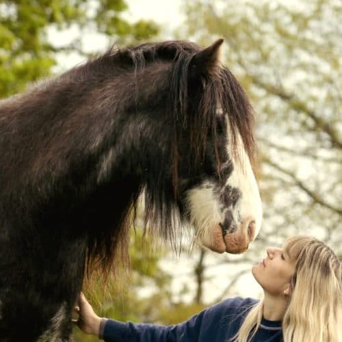 Photo partagée par @pony_maya