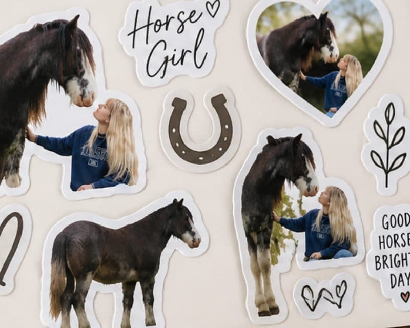 Planche de stickers avec photo de cheval